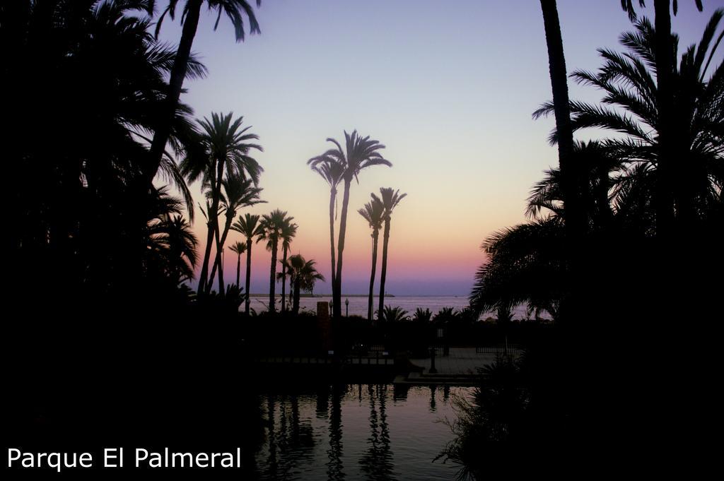 Alicante Apartments Luaran gambar